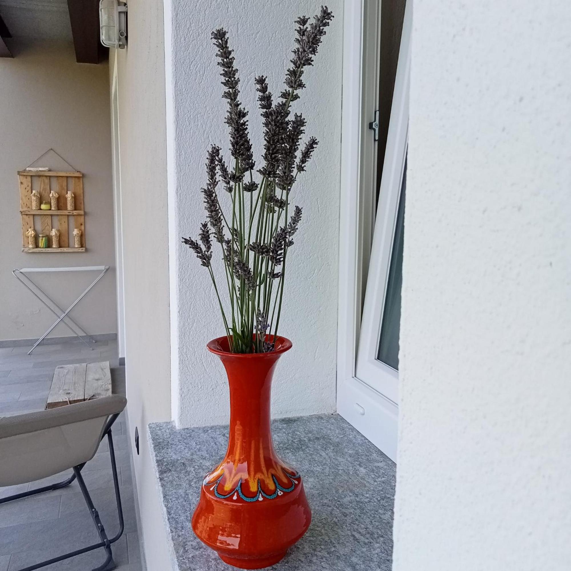 Santino'S House Hotel Peveragno Bagian luar foto